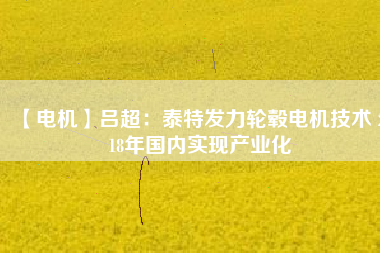 【電機】呂超:泰特發(fā)力輪轂電機技術(shù) 2018年國內(nèi)實現(xiàn)產(chǎn)業(yè)化