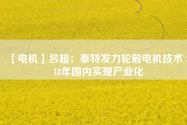 【電機】呂超:泰特發(fā)力輪轂電機技術(shù) 2018年國內(nèi)實現(xiàn)產(chǎn)業(yè)化